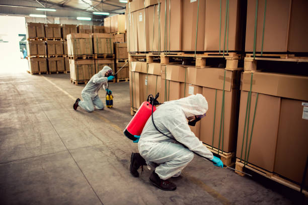 Best Cockroach Control Services  in Mohave Valley, AZ